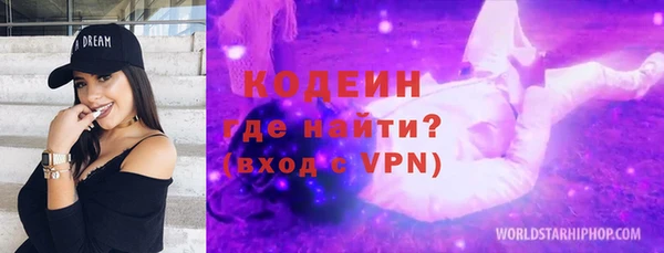 индика Волосово