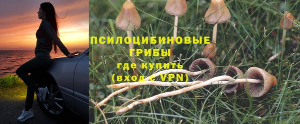 мяу мяу кристалл Верея
