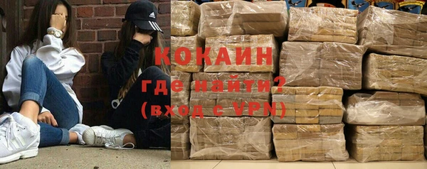 индика Волосово