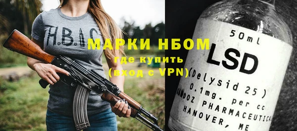индика Волосово
