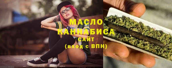 индика Волосово