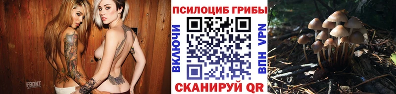 дарк нет состав  Чекалин  Галлюциногенные грибы Psilocybine cubensis  цена  